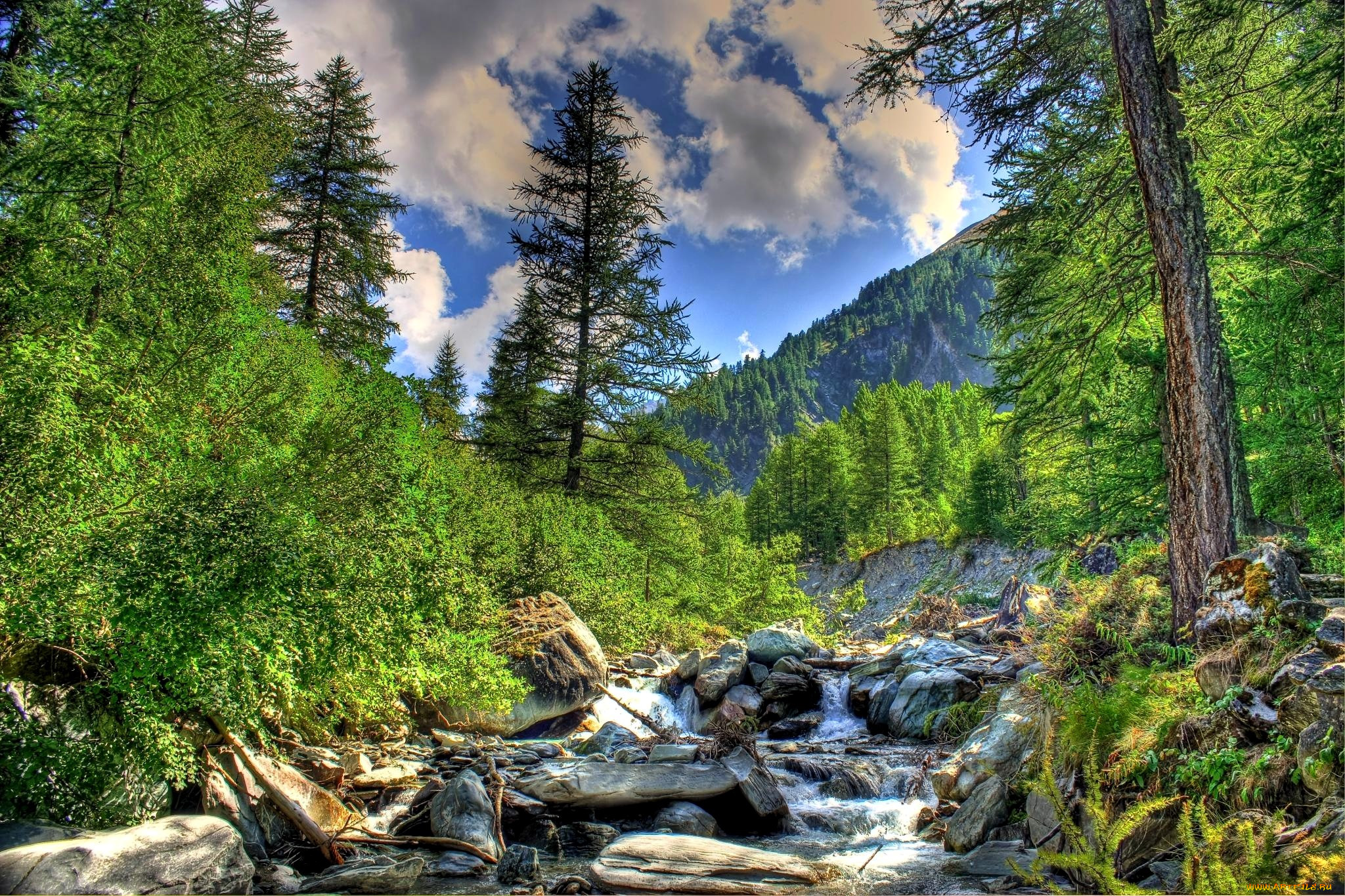 речка в лесу в горах